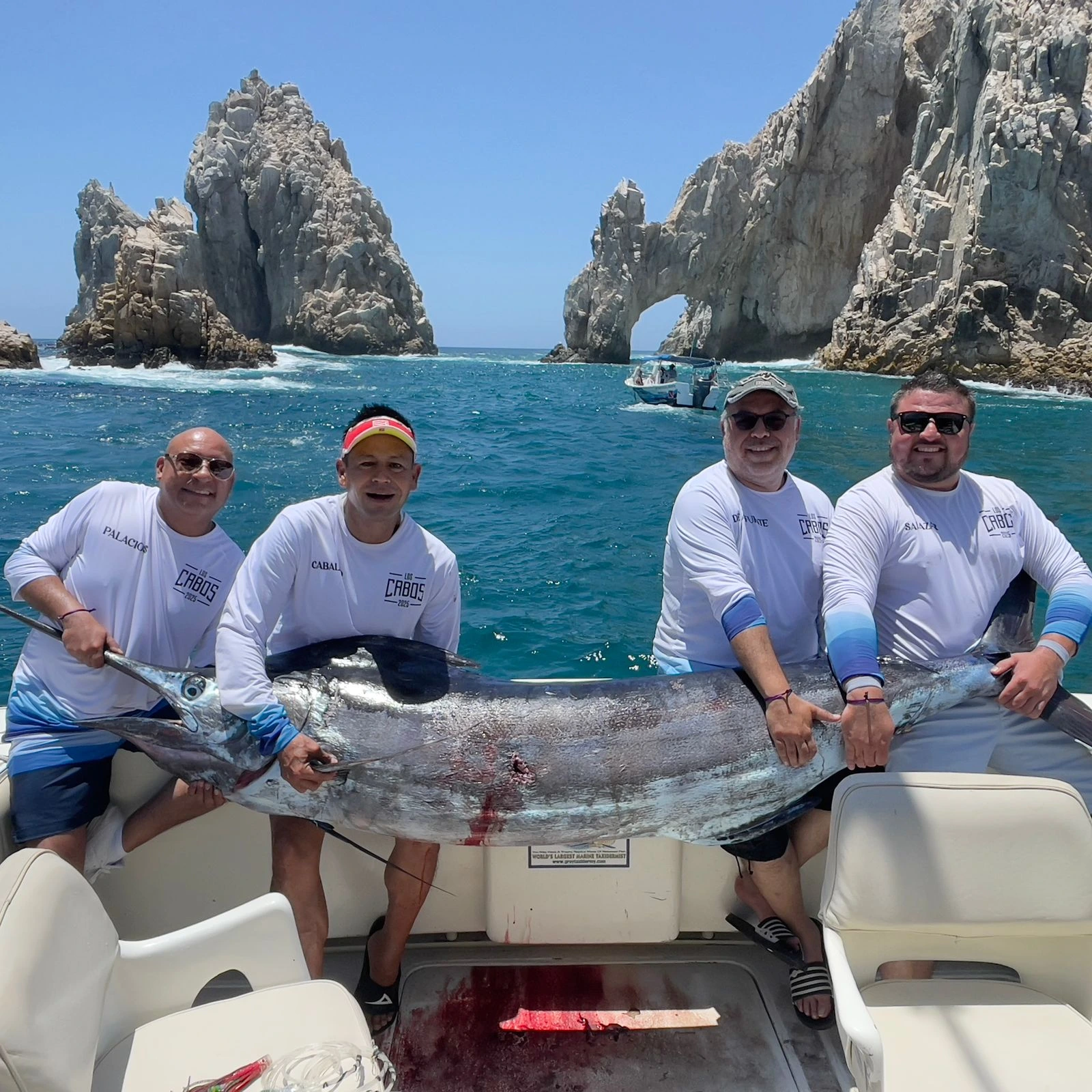 mahi mahi