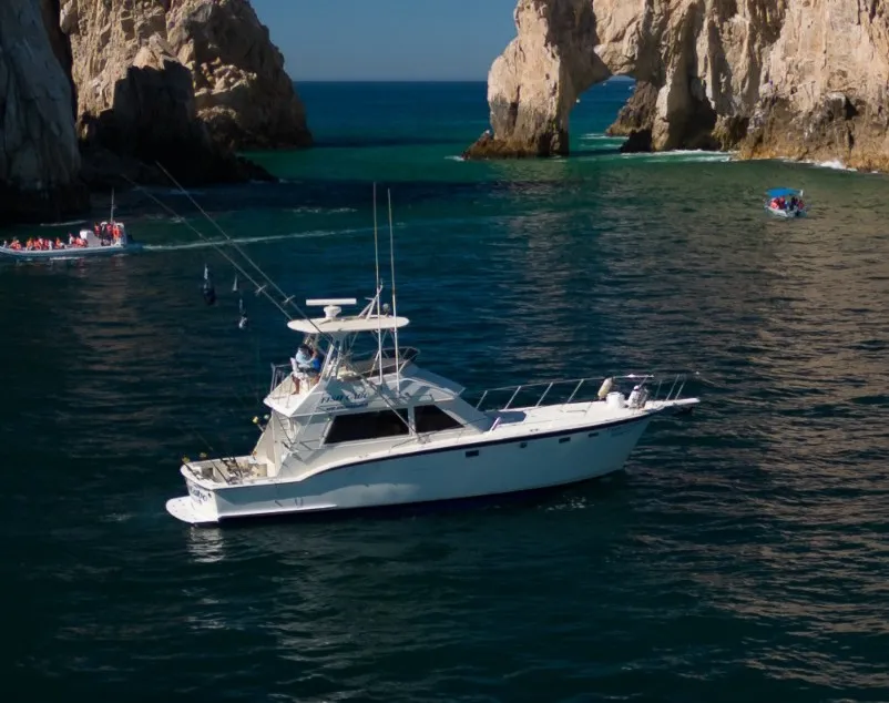 Sportfishing Chart Fish Cabo 43 ft. | Cabo San Lucas