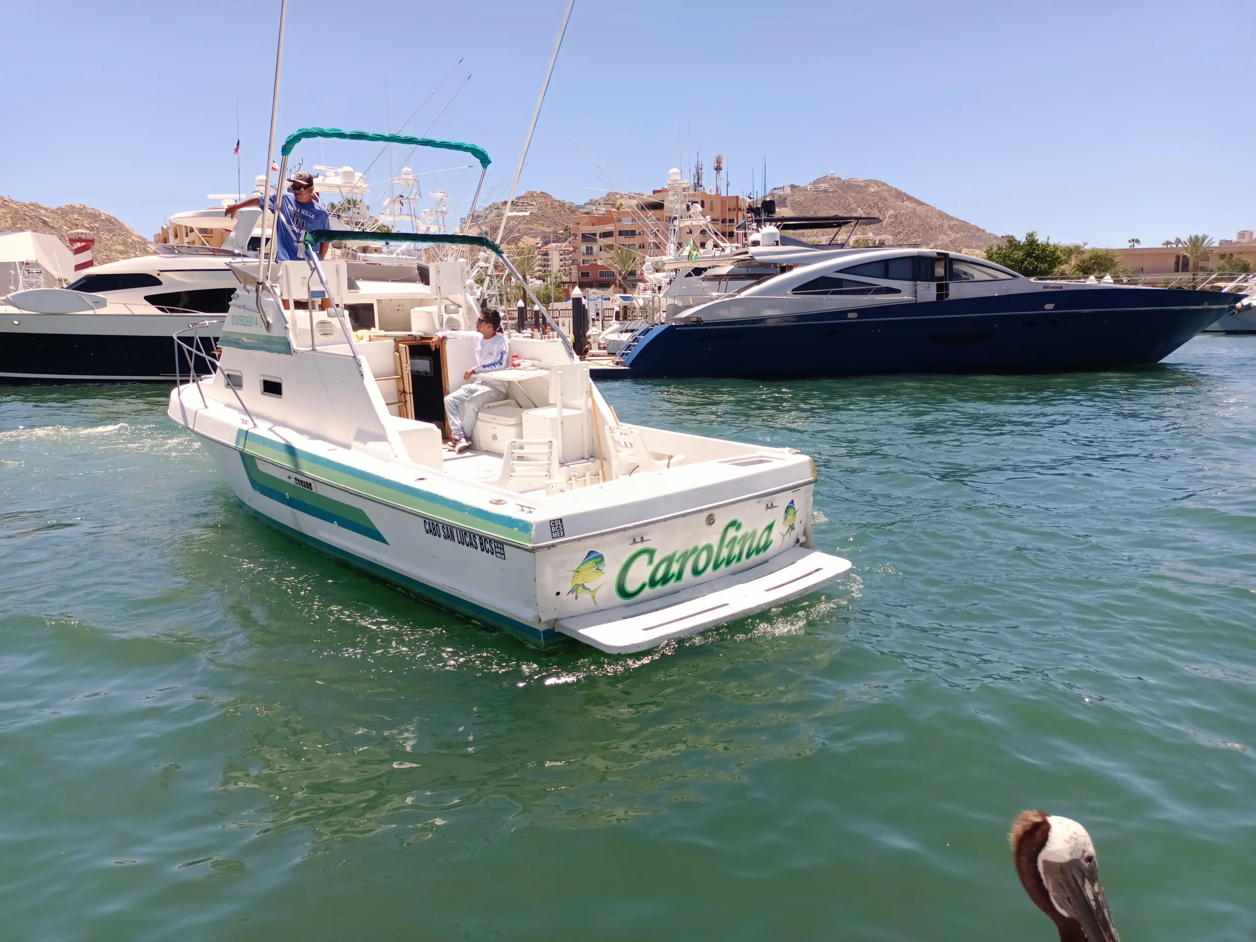 Sportfishing Charter CAROLINA 28 ft. | Cabo San Lucas