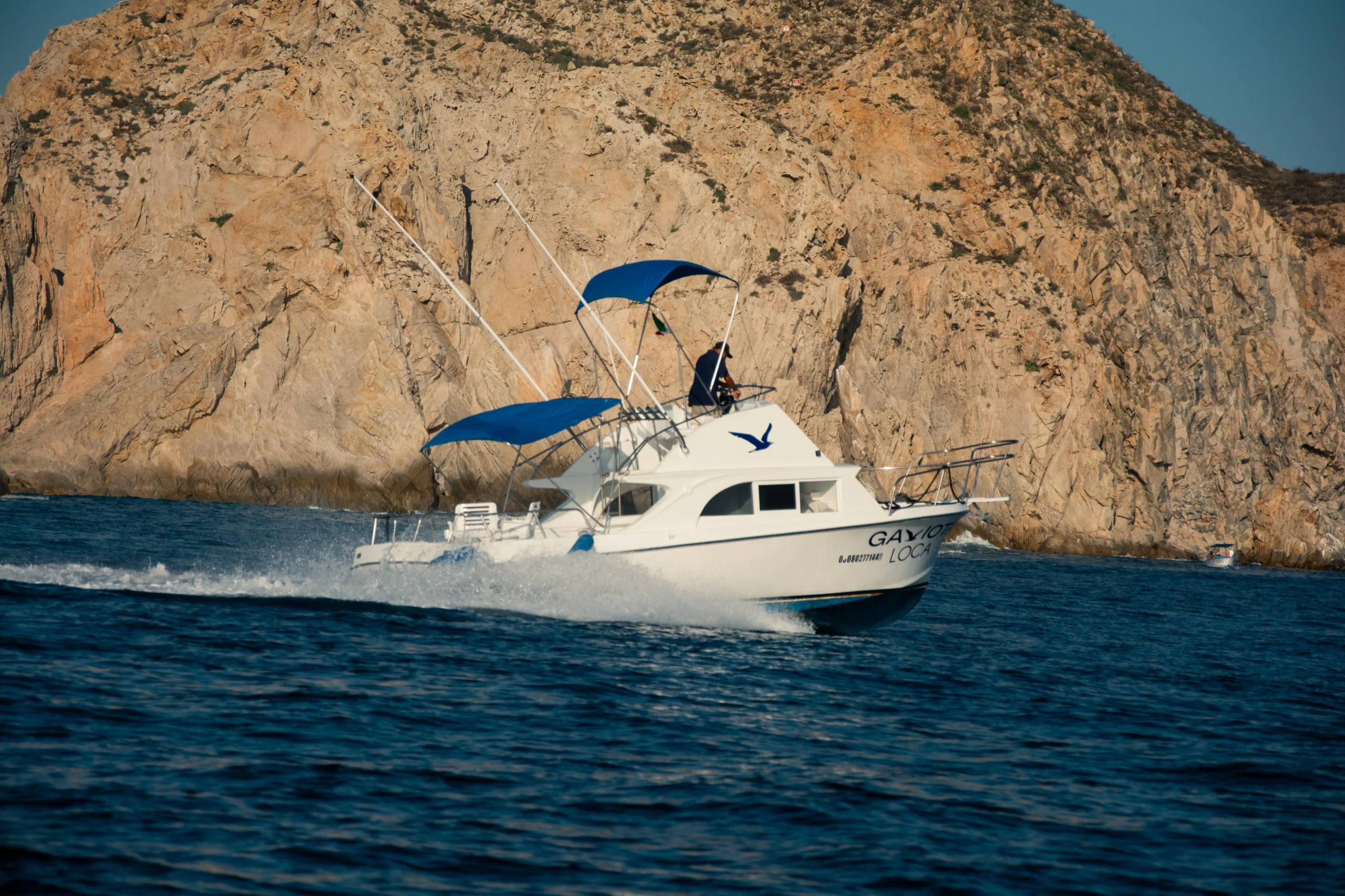 Sportfishing Charter GAVIOTA LOCA 28 ft. | Cabo San Lucas - Image 3