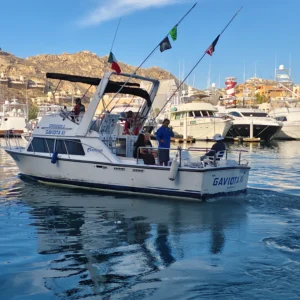Sportfishing Gaviota XI 33 ft. | Cabo San Lucas