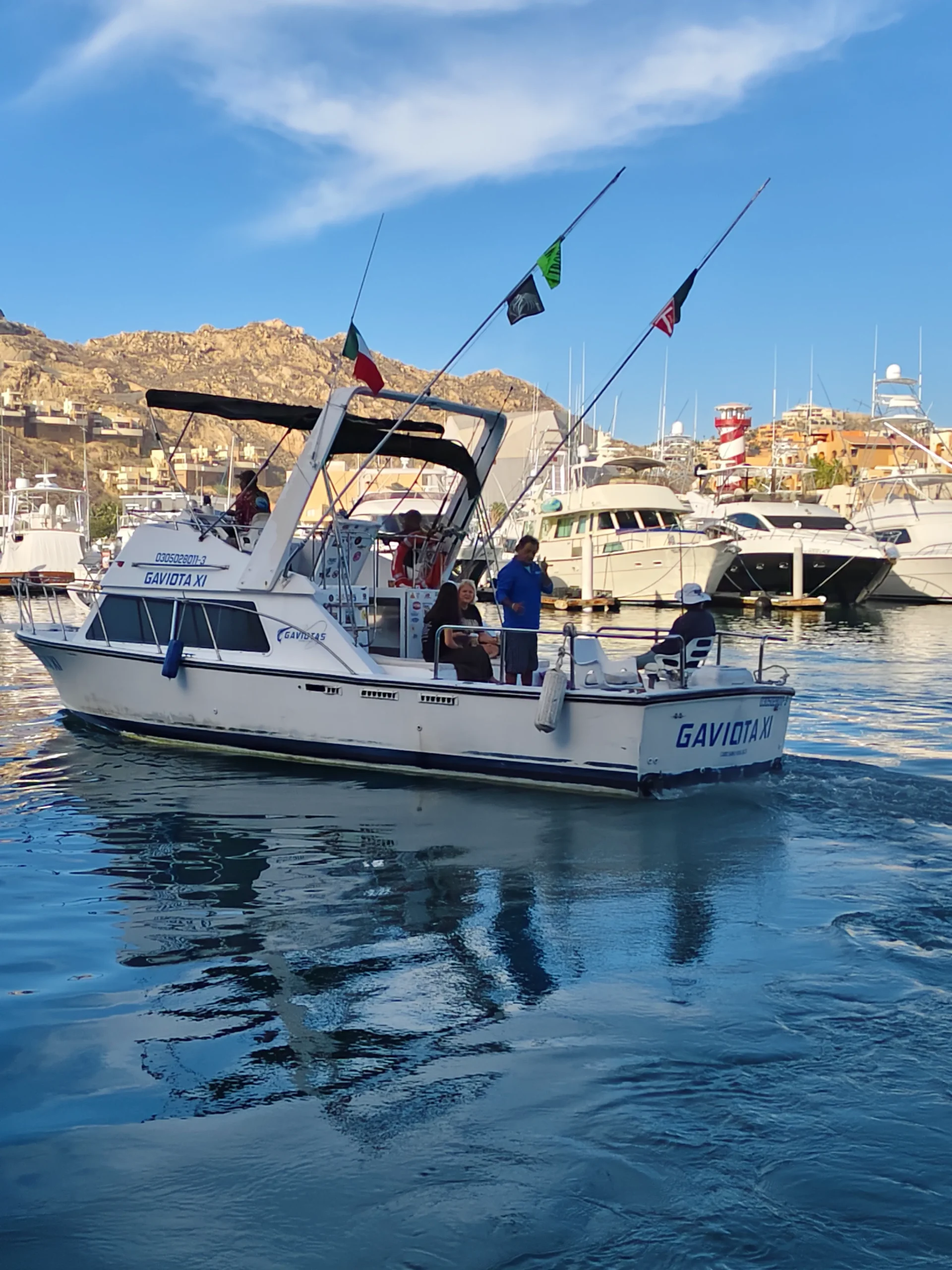 Sportfishing Gaviota XI 33 ft. | Cabo San Lucas