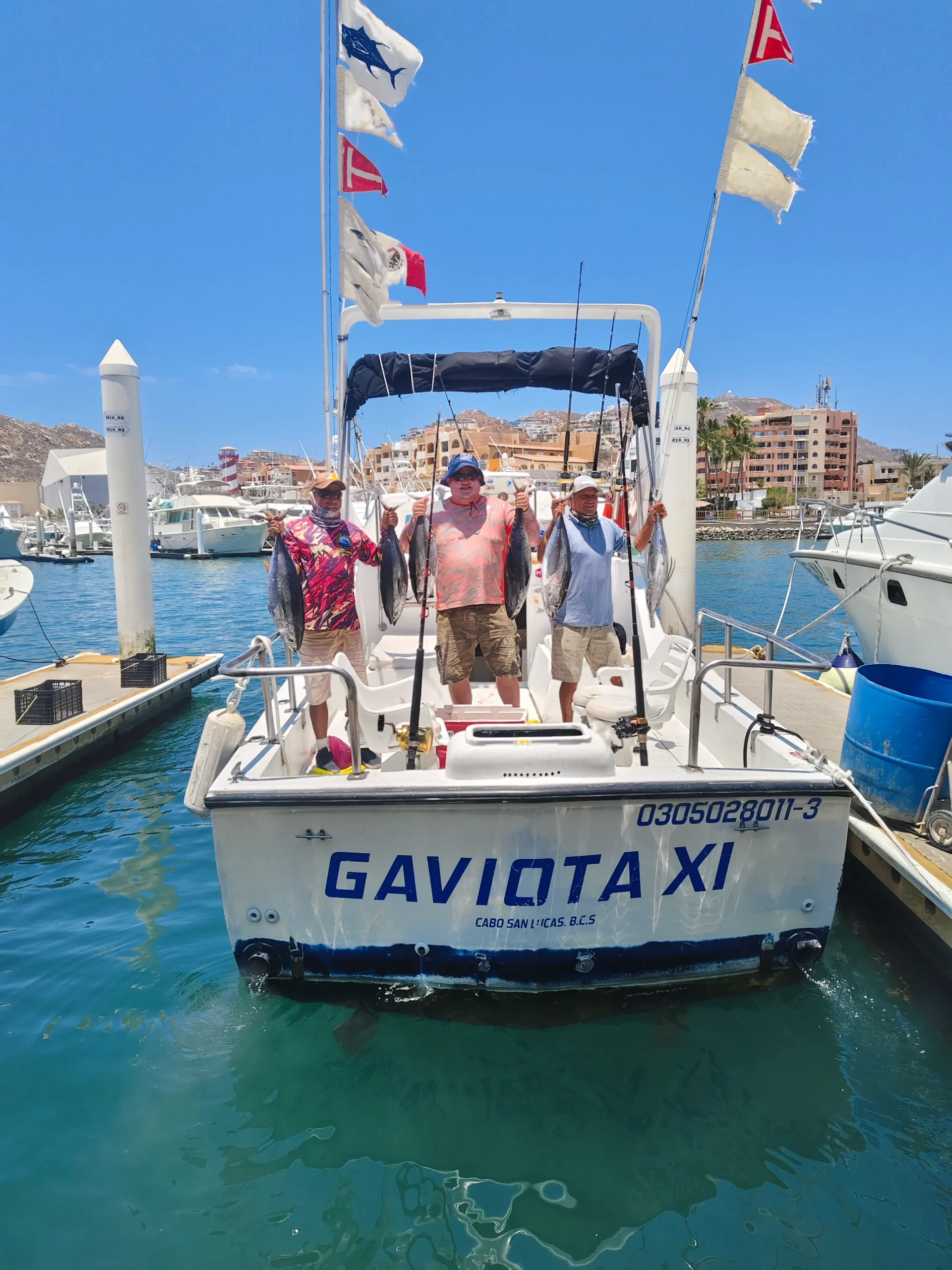 Sportfishing Gaviota XI 33 ft. | Cabo San Lucas - Image 2