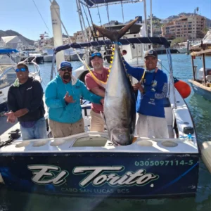 Sportfishing Charter Torito 31 ft | Cabo San Lucas