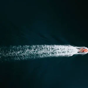 Sportfishing Charter Seagul 33 ft. | Cabo San Lucas