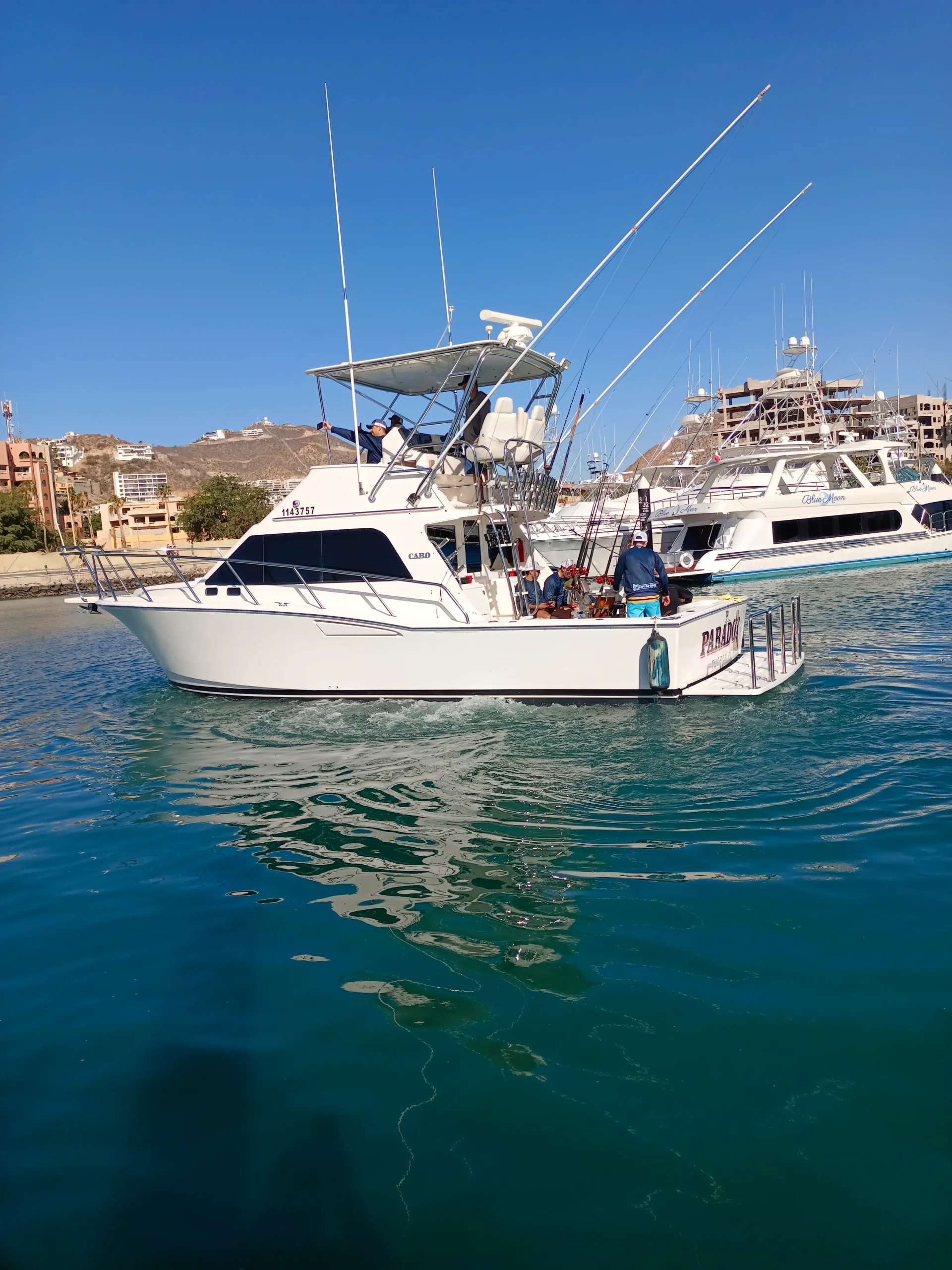 Sportfishing Charter Paradox 35 ft. | Cabo San Lucas - Image 2