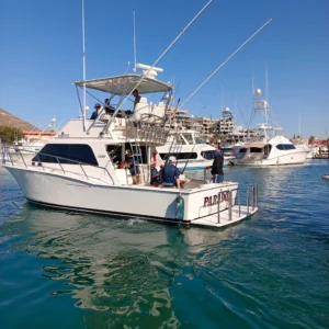 Sportfishing Charter Paradox 35 ft. | Cabo San Lucas