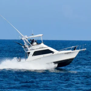 Sportfishing Chart Sniper 35 ft.| Cabo San Lucas