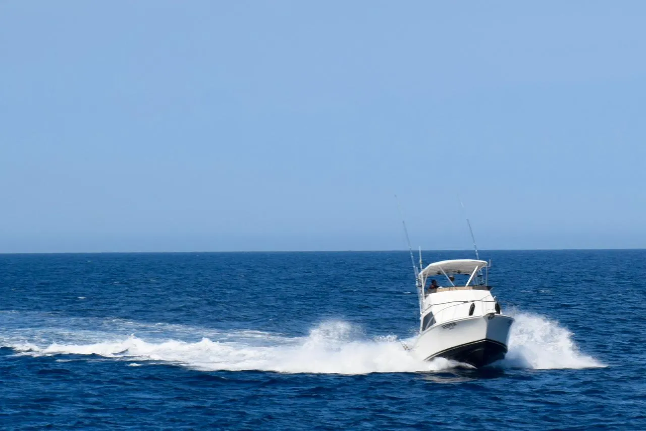 Sportfishing Chart Sniper 35 ft.| Cabo San Lucas - Image 2