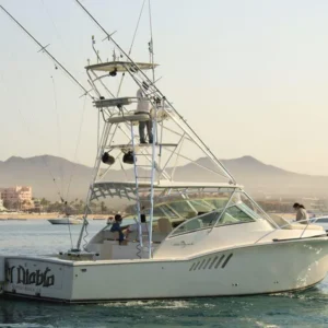 Sportfishing Chart Diablo 35 ft. | Cabo San Lucas