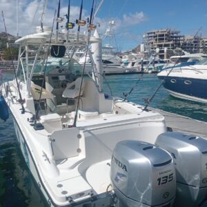 Sportfishing Princes Magic 26 ft | Cabo San Lucas