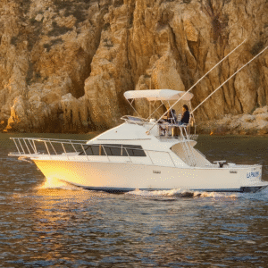 Sportfishing Charter La Paloma 35 ft. | Cabo San Lucas