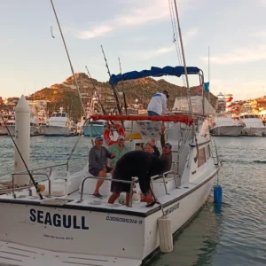 Sportfishing Charter Seagul 33 ft. | Cabo San Lucas