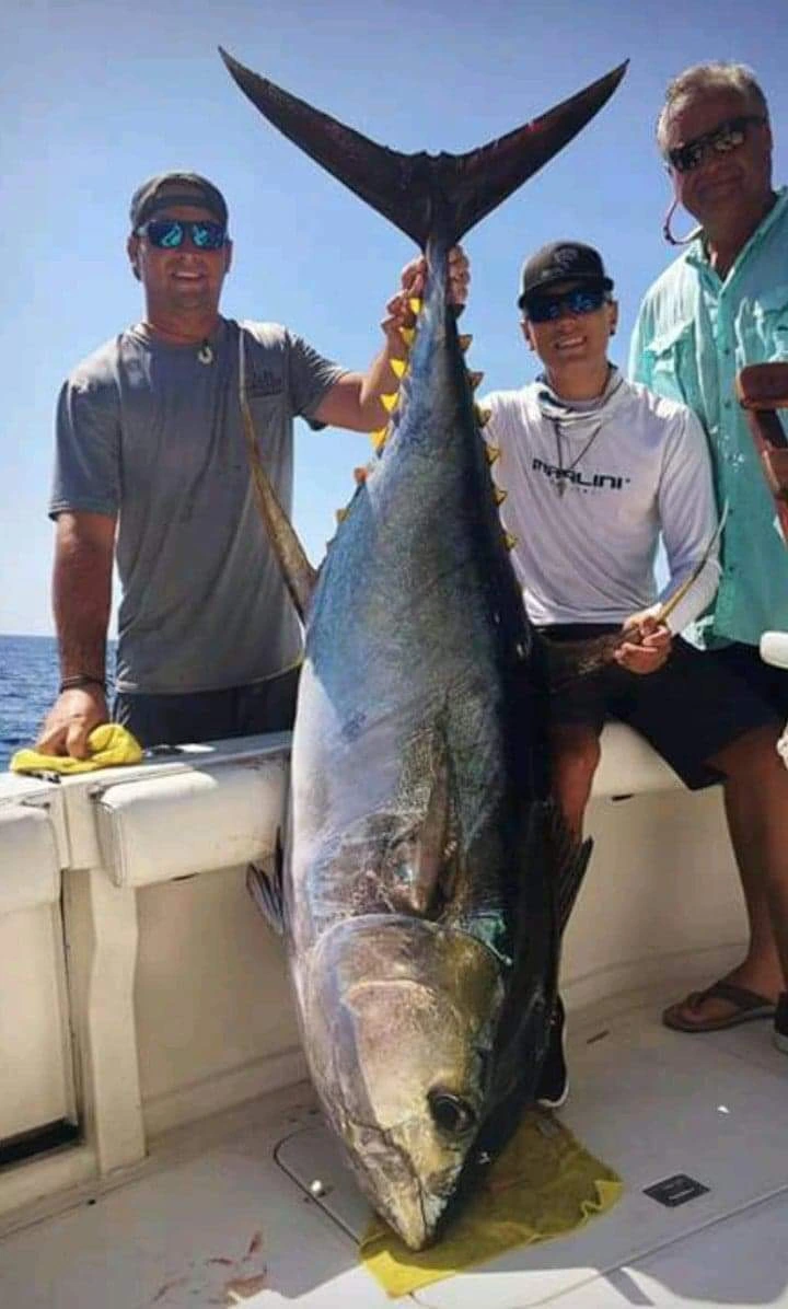 February 2026 Report